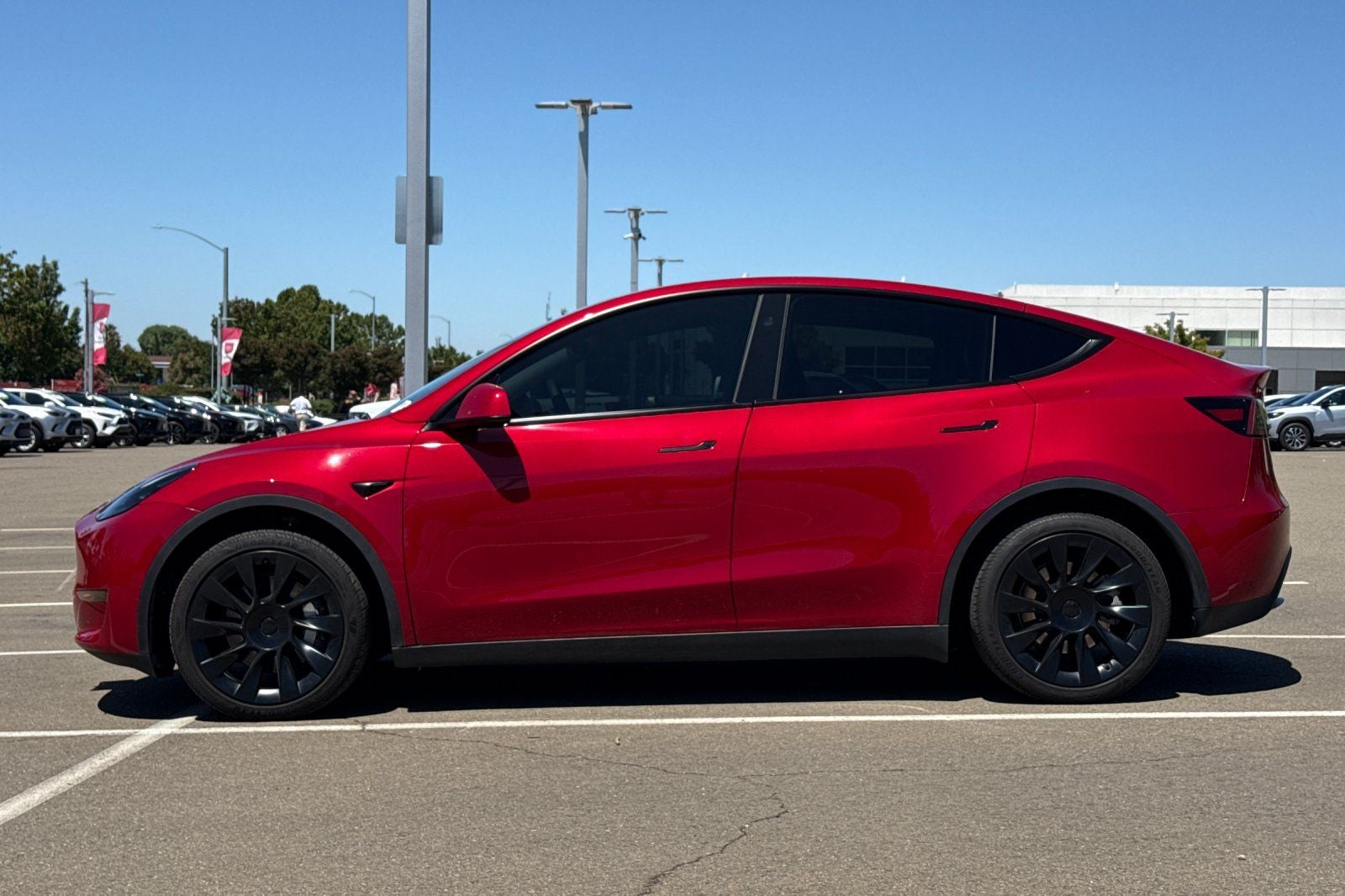 2023 Tesla Model Y Long Range