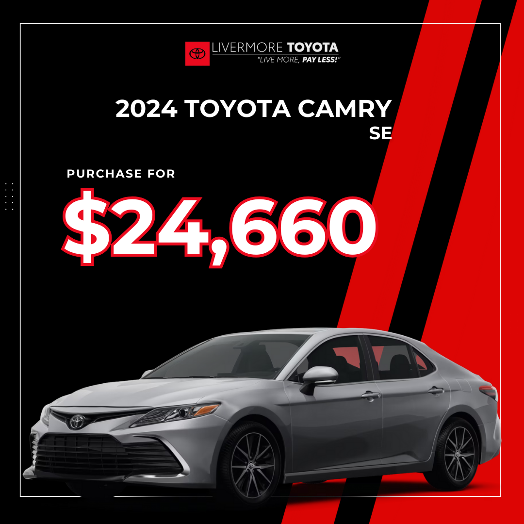 Special Purchase Offer!