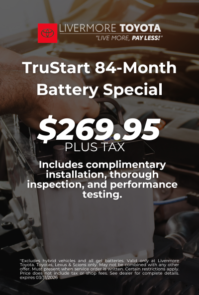 TruStart 84-Month Battery